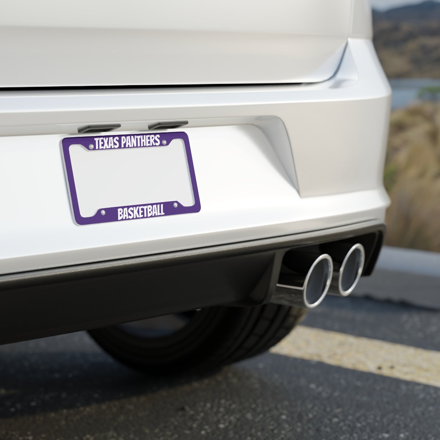 Texas Panthers Basketball License Plate Frame - Sporty Car Accessory